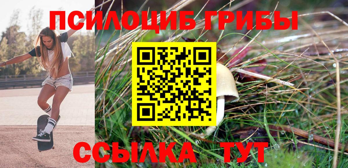 Кувандык  Галлюциногенные грибы мицелий  Вход с VPN 